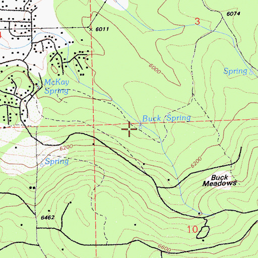 Topographic Map of Buck Spring, CA