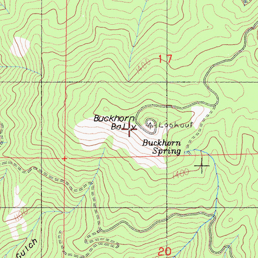 Topographic Map of Buckhorn Bally, CA