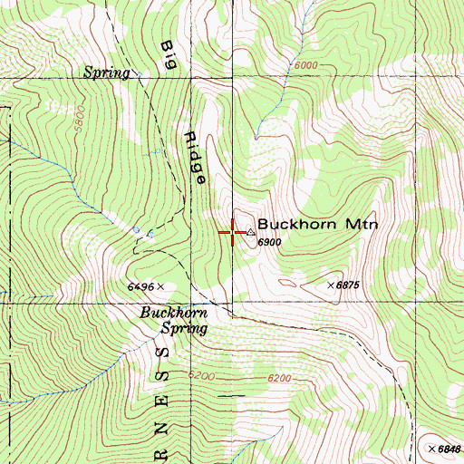Topographic Map of Buckhorn Mountain, CA