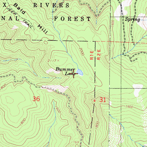 Topographic Map of Bummer Lake, CA