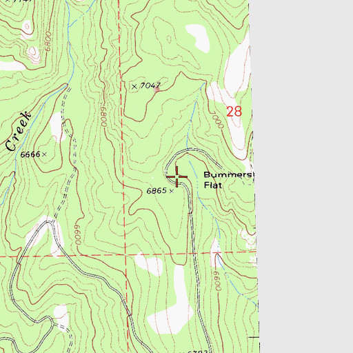 Topographic Map of Bummers Flat, CA