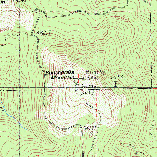 Topographic Map of Bunchgrass Mountain, CA