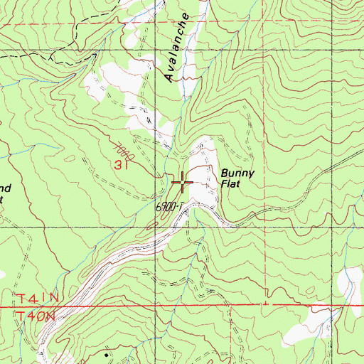 Topographic Map of Bunny Flat, CA