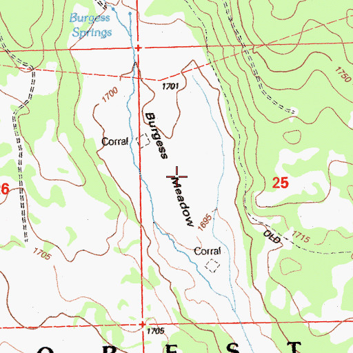 Topographic Map of Burgess Meadow, CA