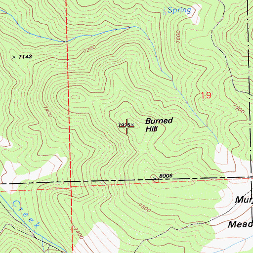 Topographic Map of Burned Hill, CA