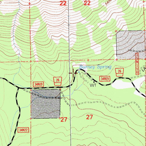 Topographic Map of Burney Spring, CA