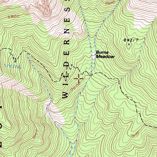 Topographic Map of Burns Meadow, CA