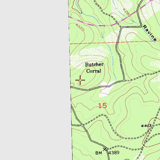 Topographic Map of Butcher Corral, CA