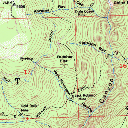Topographic Map of Butcher Flat, CA