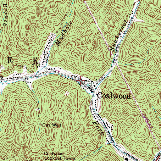 Topographic Map of Coalwood - Caretta Volunteer Fire Department, WV