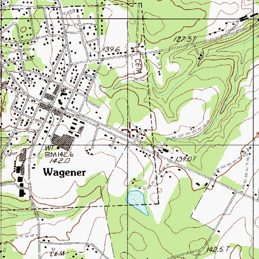 Topographic Map of Wagener Fire Department, SC
