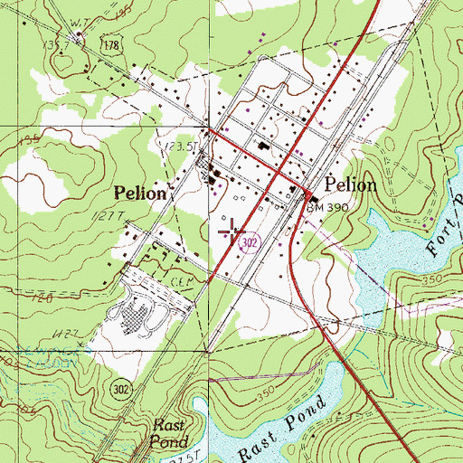 Topographic Map of Lexington County Fire Service Pelion, SC