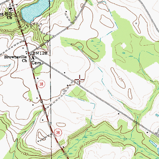 Topographic Map of Blenheim Fire Department Brownsville, SC