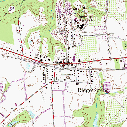 Topographic Map of Ridge Spring Fire Department Number 500, SC