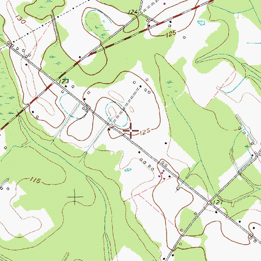 Topographic Map of Dillon County Fire Department Station 4, SC