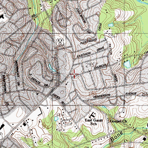 Topographic Map of Belmont Fire Department, SC