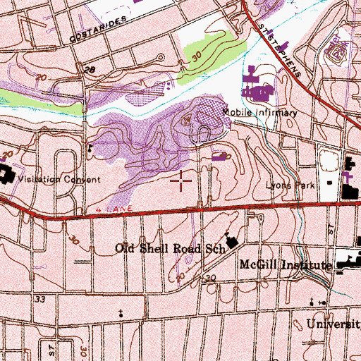 Topographic Map of Louiselle Medical Center, AL