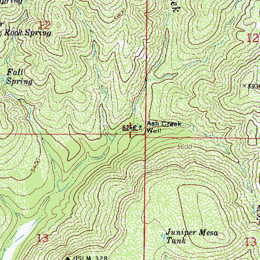 Topographic Map of Ash Creek Well, AZ