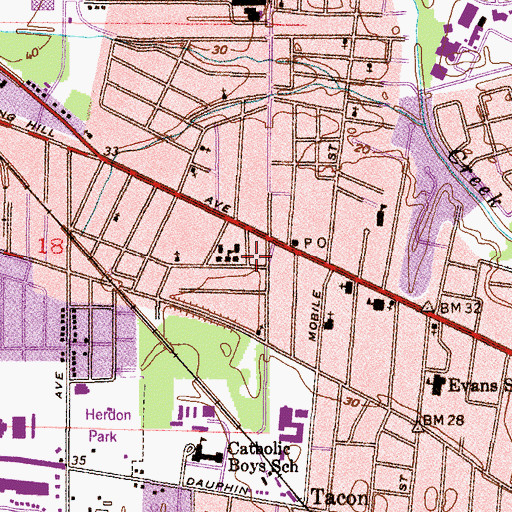 Topographic Map of New Testament Missionary Baptist Church, AL