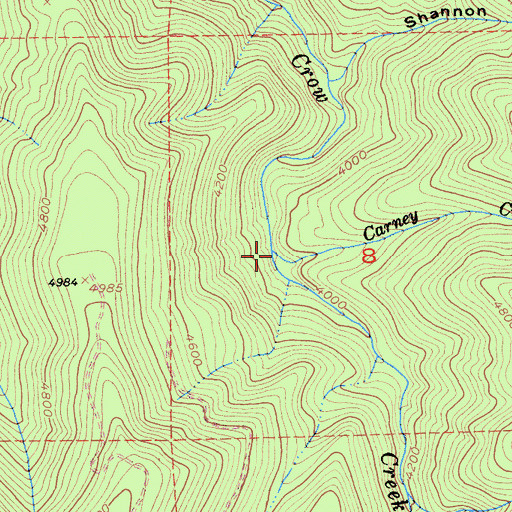 Topographic Map of Carney Creek, CA