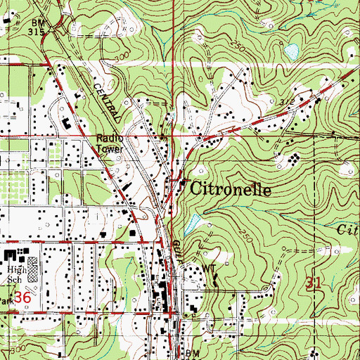 Topographic Map of Nazarene African Methodist Episcopal Zion Church, AL