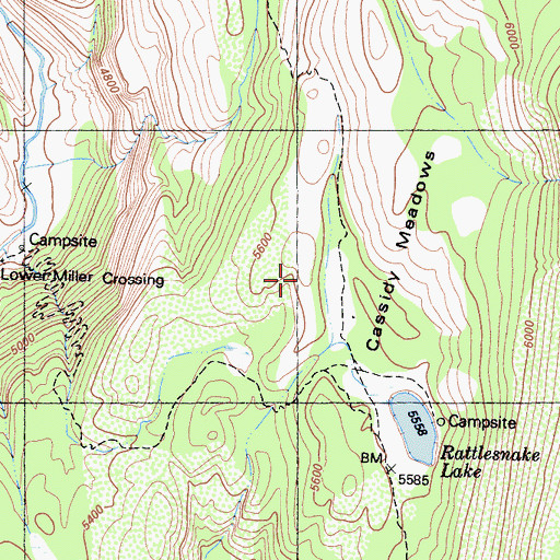 Topographic Map of Cassidy Meadows, CA