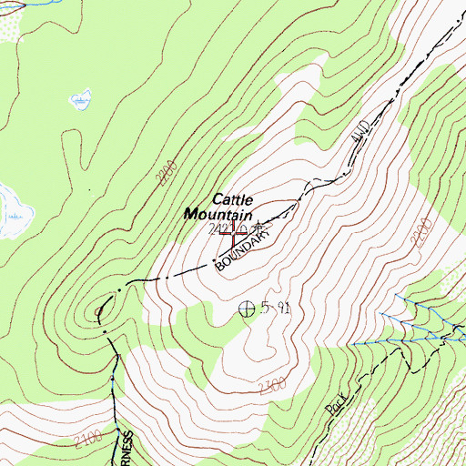 Topographic Map of Cattle Mountain, CA