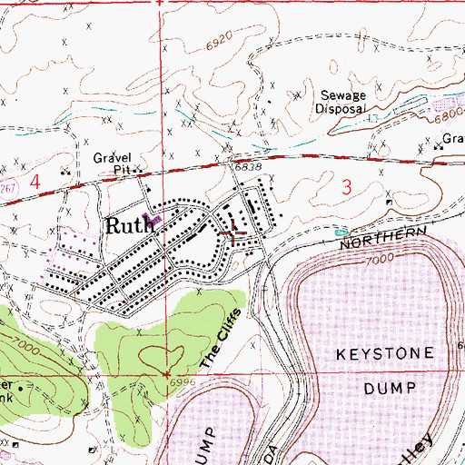 Topographic Map of Ruth Volunteer Fire Department, NV