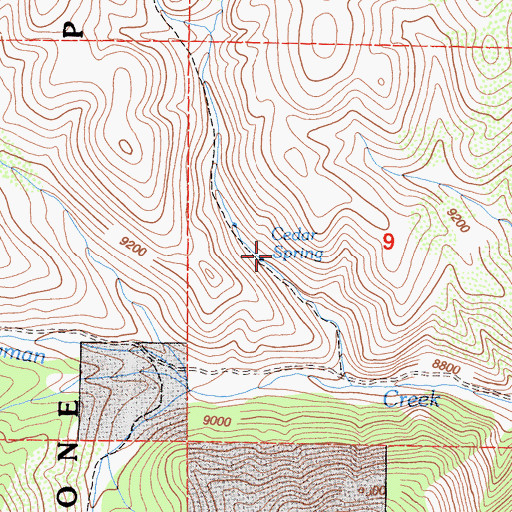 Topographic Map of Cedar Spring, CA