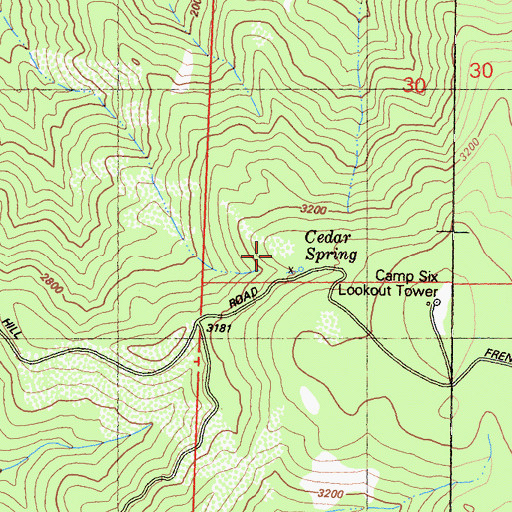 Topographic Map of Cedar Spring, CA