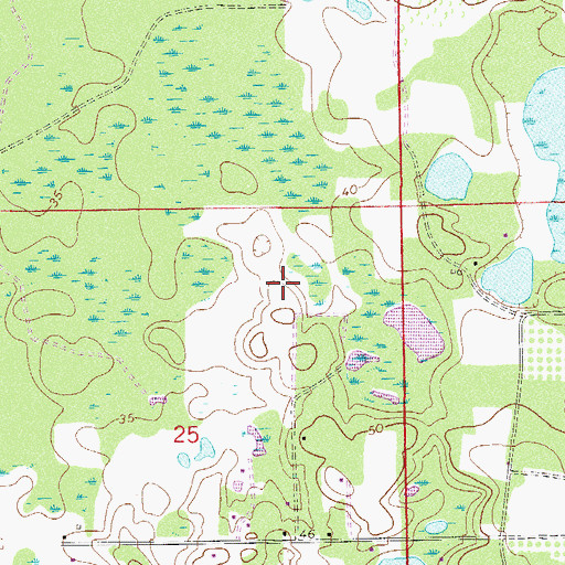 Topographic Map of Braddock Cemetery, FL