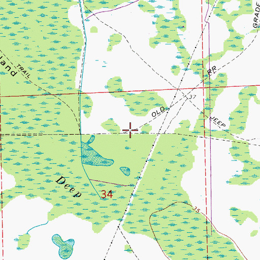 Topographic Map of Deep Creek Cemetery, FL