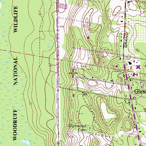 Topographic Map of Glenwood Black Cemetery, FL