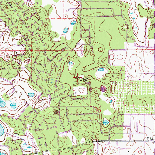 Topographic Map of Osteen Memorial Gardens, FL