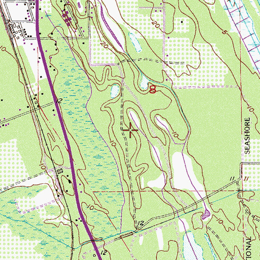 Topographic Map of Saints Cemetery, FL