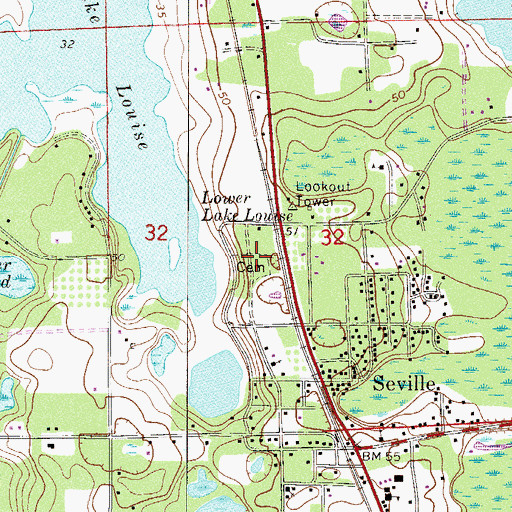 Topographic Map of Seville Cemetery, FL