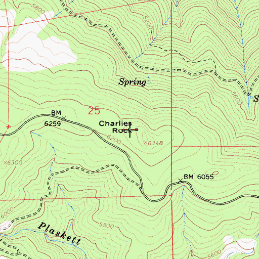 Topographic Map of Charlies Rock, CA