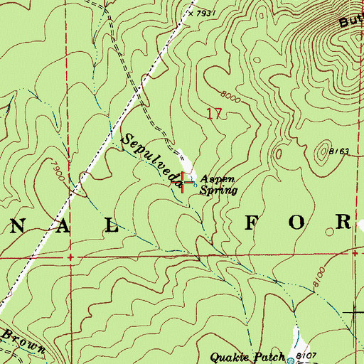 Topographic Map of Aspen Spring, AZ