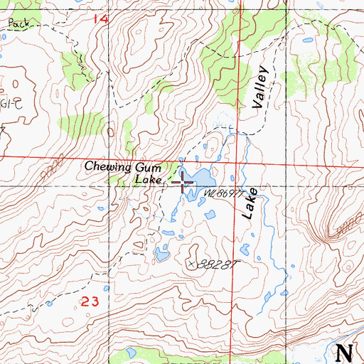 Topographic Map of Chewing Gum Lake, CA