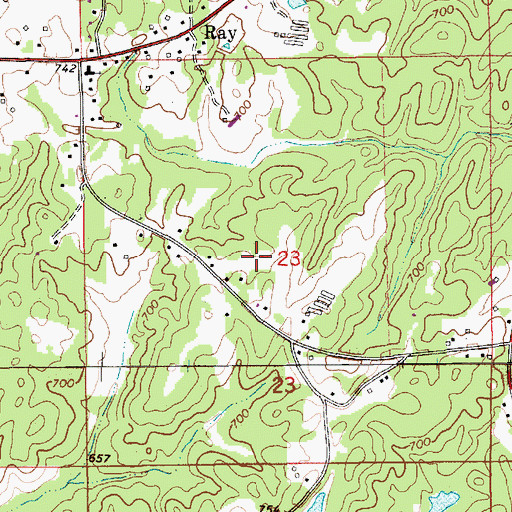 Topographic Map of Ray Census Designated Place, AL