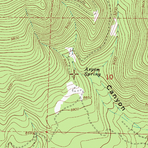 Topographic Map of Aspen Spring, AZ