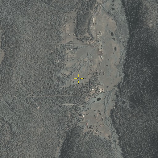 Aerial/Satellite Image of Greer Census Designated Place, AZ