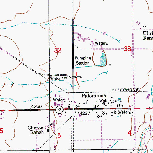 Topographic Map of Palominas Census Designated Place, AZ