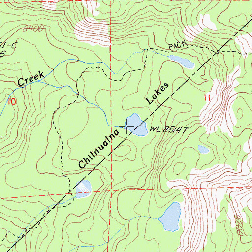 Topographic Map of Chilnualna Lakes, CA