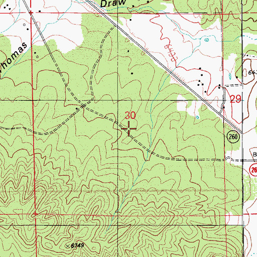 Topographic Map of Pinedale Census Designated Place, AZ