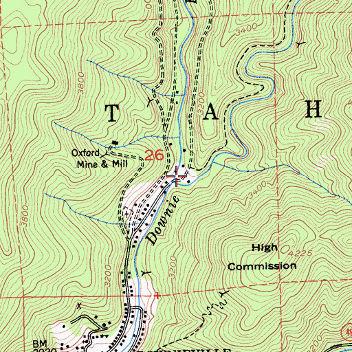 Topographic Map of Downieville Census Designated Place, CA