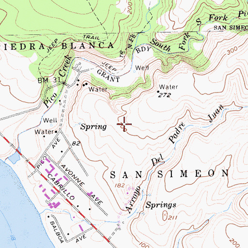Topographic Map of San Simeon Census Designated Place, CA