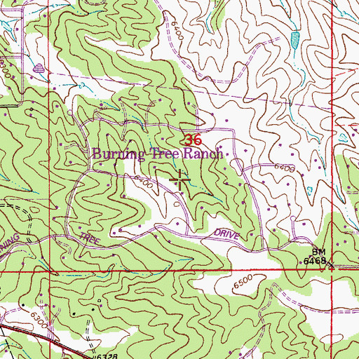 Topographic Map of Burning Tree Ranch Census Designated Place, CO