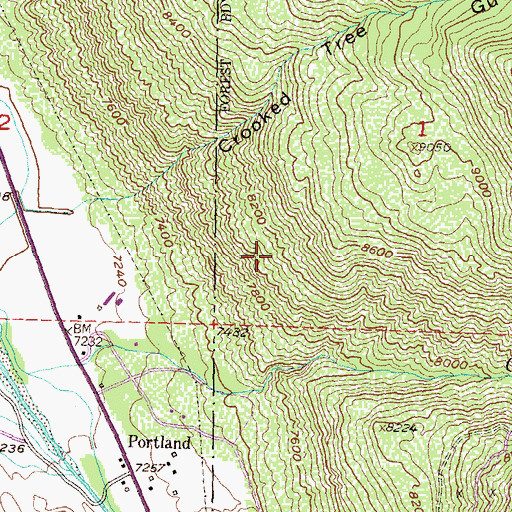 Topographic Map of Portland Census Designated Place, CO