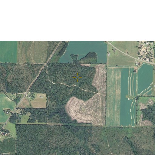 Aerial/Satellite Image of Berrydale Census Designated Place, FL